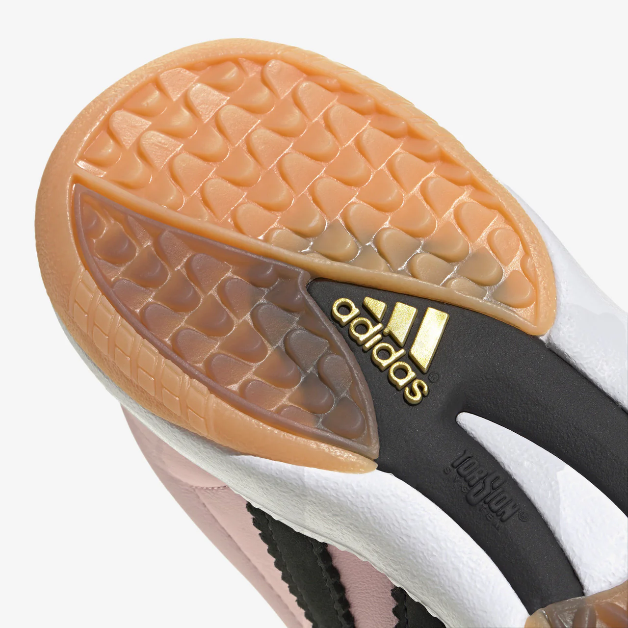 Samba MN - Image 8