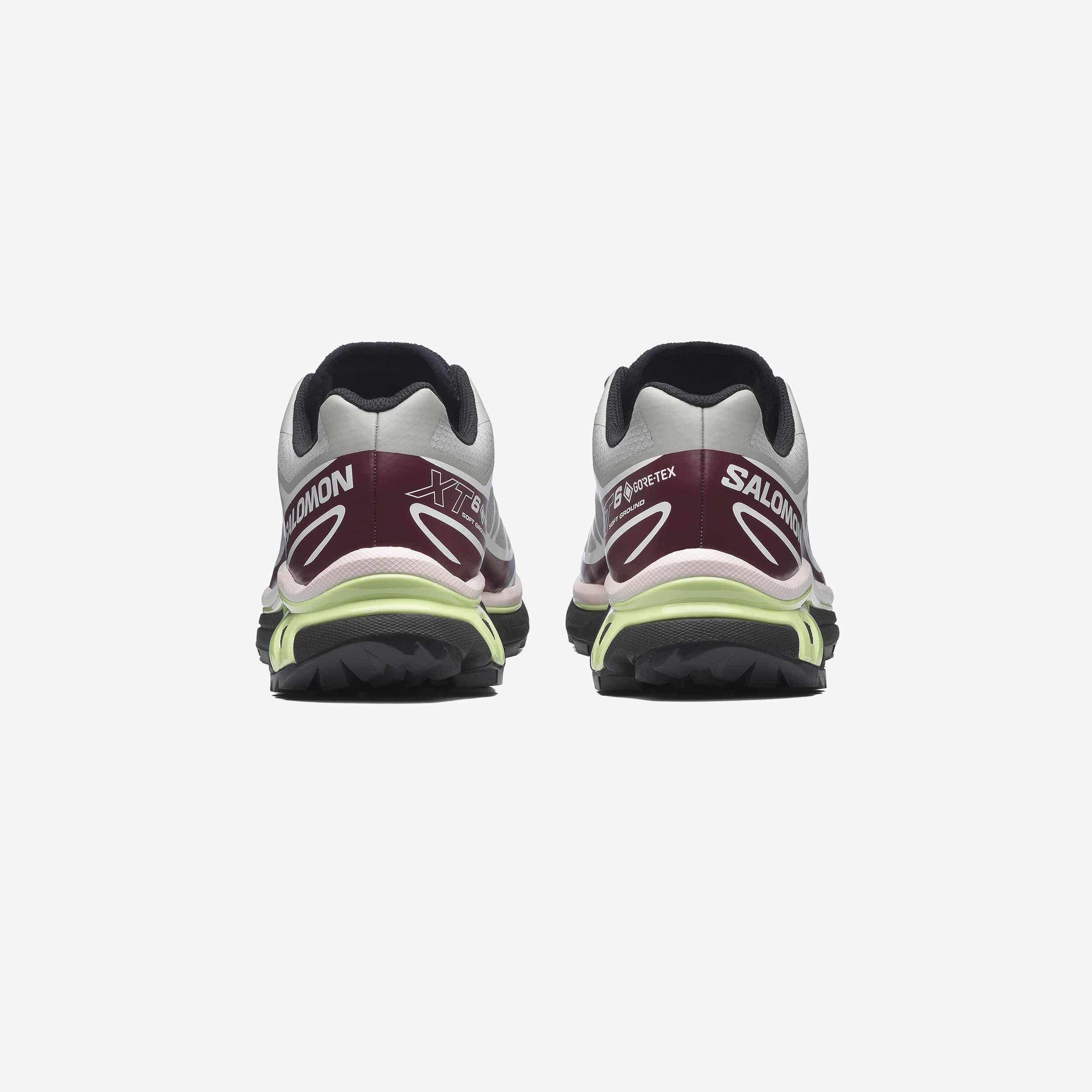 XT-6 GTX - Image 4